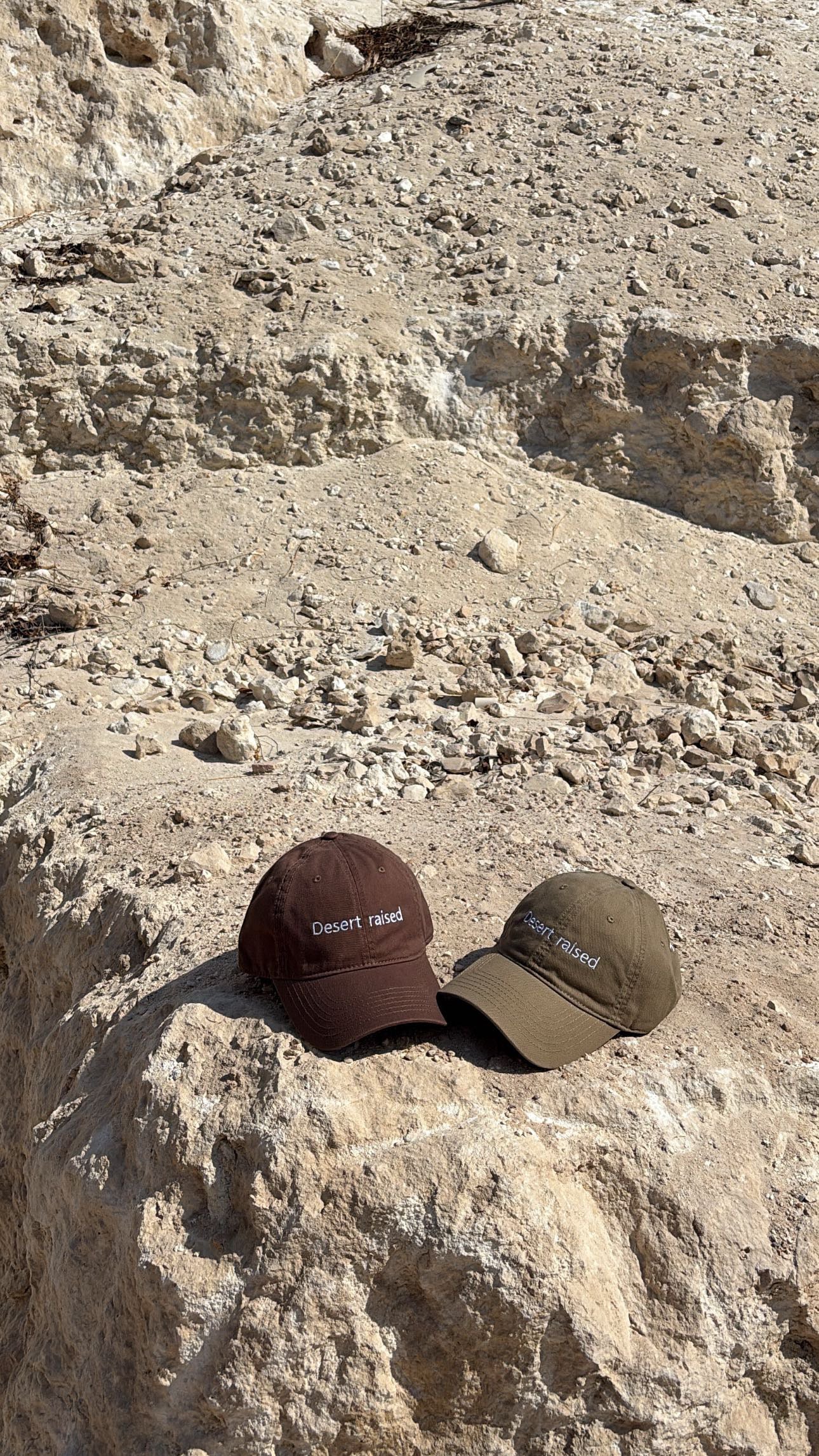 Desert raised in chocolate