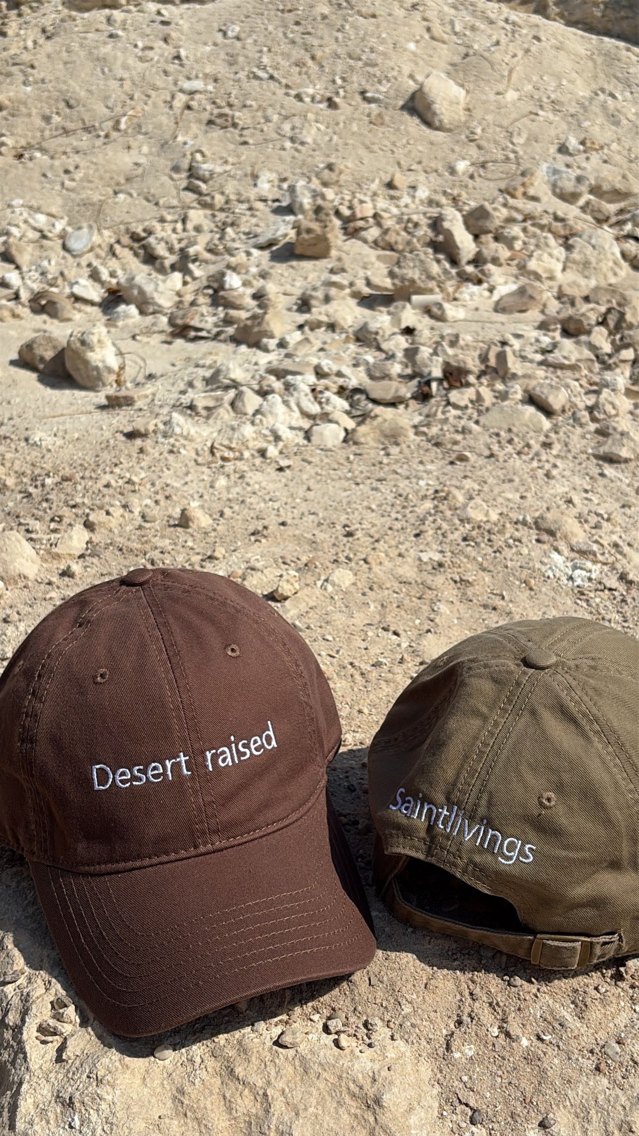 Desert raised in chocolate